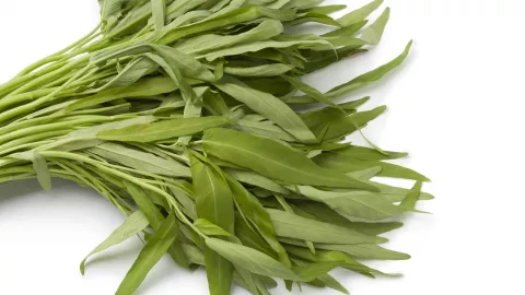 Di AS, Kangkung Sama Ilegalnya dengan Ganja - GenPI.co