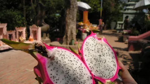 Kaya Antioksidan, 5 Makanan ini Ampuh Basmi Radikal Bebas - GenPI.co