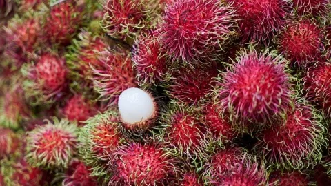 Ternyata Rambutan itu Buah Super, Khasiatnya Banyak Banget! - GenPI.co