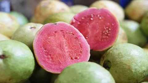 Jambu Biji Ampuh Tangkal Virus Corona? Cek Faktanya! - GenPI.co