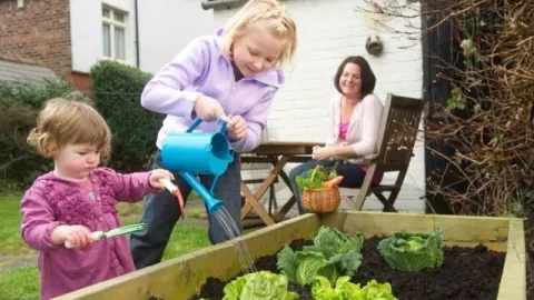 Isi Waktu Saat #DiRumah Saja dengan Berkebun Secara Hidroponik - GenPI.co
