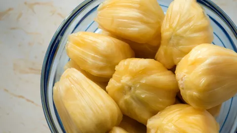 Manfaat Makan Nangka, dari Antivirus Hingga Menyehatkan Mata - GenPI.co