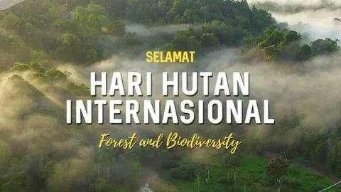 Selamat Hari Hutan Internasional  21 Maret, Ini Lho Maknanya! - GenPI.co
