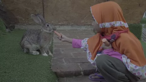 Ajak Anak Wisata Edukasi dengan Kelinci di Orchid Forest Cikole - GenPI.co
