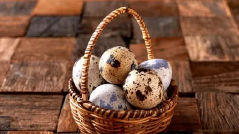 Awas! Banyak Makan Telur Puyuh Bisa Kolesterol Tinggi - GenPI.co