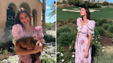 Kendall Jenner Pose Sama Ayam, Harga Bajunya Bikin Nangis - GenPI.co