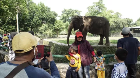 Pengunjung Membeludak, Ancol, TMII, Ragunan Tutup Hingga 17 Mei - GenPI.co