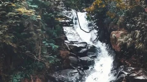 Curug Panjang, Air Terjun di Puncak Bogor yang Menawan - GenPI.co