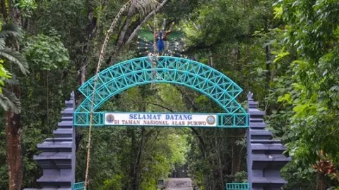 Fakta Ngeri Alas Purwo Bakal Membuatmu Merinding, Berani? - GenPI.co