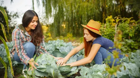 Bantu Atasi Kesehatan Mental, Berkebun Punya Manfaat Dahsyat - GenPI.co
