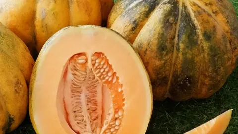 Cegah Penuaan Kulit dengan Konsumsi Buah Blewah - GenPI.co