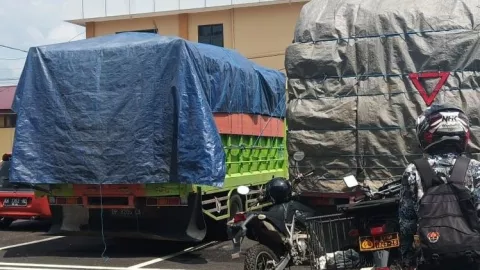 Daun Kratom Diburu Tengkulak, Karena Mengandung Narkoba? - GenPI.co