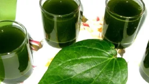 Khasiat Minum Air Rebusan Daun Sirih Sangat Mencengangkan - GenPI.co