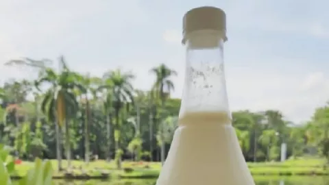 Awas Bunda... Ini Dampak Mengonsumsi Susu Berlebihan - GenPI.co
