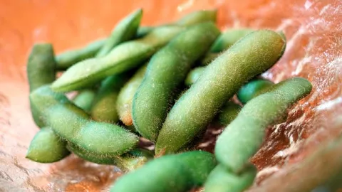 Banyak Kandungan Gizi, Edamame Cocok untuk Ibu Hamil - GenPI.co