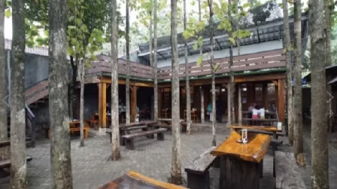 Ngopi Di Antara Pohon Jati, Kebun Latte Hipnotis Pengunjung - GenPI.co