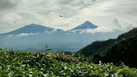 Trisik Hingga Puncak Suroloyo, Ini Wisata Lebaran di Kulon Progo - GenPI.co