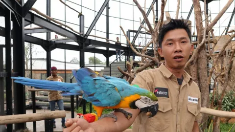 Bermain dan Berinteraksi dengan 350 Satwa di Lembang Park & Zoo - GenPI.co