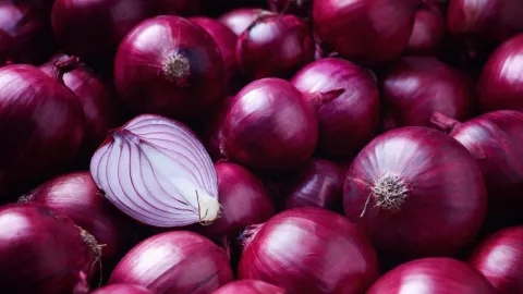 Tuntaskan Diabetes hingga Kanker dengan Bawang Merah, Tokcer! - GenPI.co