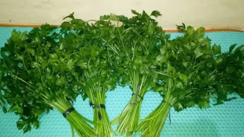 Bau Badan Tak Sedap, Coba 3 Makanan ini dan Rasakan Khasiatnya - GenPI.co