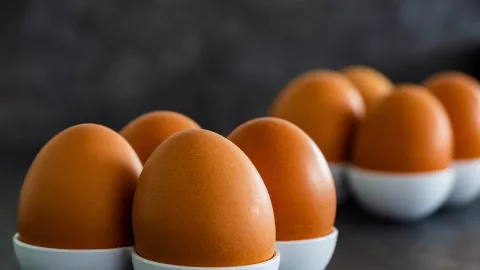 Makan Telur Tiap Hari Ternyata Manfaatnya Bikin Melongo - GenPI.co