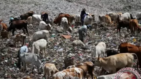 Sampah di Yogya Tak Tertampung, Perluasan TPST Ditolak Warga - GenPI.co