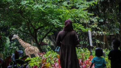 Kebun Binatang Bandung Gratiskan Tiket Masuk untuk Sambut HUT Ke-77 RI - GenPI.co JABAR