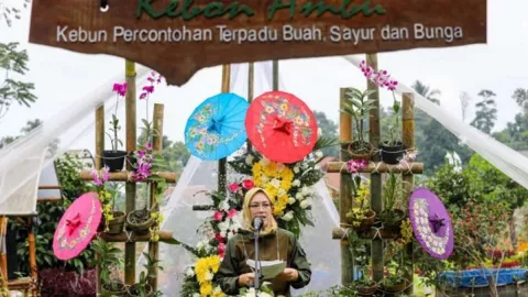 Intip Keseruan Festival Hortikultura Kebon Ambu di Purwakarta - GenPI.co JABAR