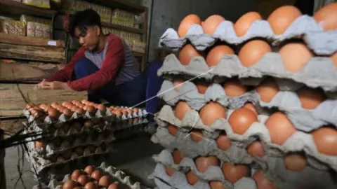 Telur Ayam Jadi Pemicu Inflasi di Cirebon pada Desember 2021 - GenPI.co JABAR