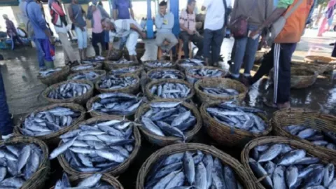 Pemkab Karawang Kembangkan Kawasan Pengolahan Ikan Pindang - GenPI.co JABAR