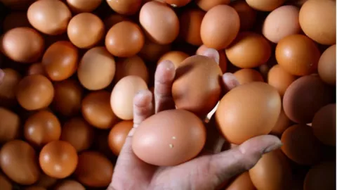 Makan Telur saat Sarapan, Manfaatnya Nggak Kira-Kira - GenPI.co JABAR
