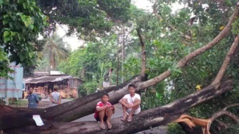 Cegah Pohon Tumbang, Satgas Pohon Kota Depok Siaga - GenPI.co JABAR