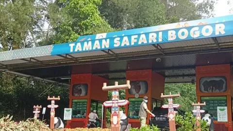 Rekomendasi Wisata Lebaran: Nikmati Suasana Taman Safari Bogor Saat Malam - GenPI.co JABAR