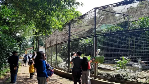 Puluhan Ribu Wisatawan Kunjungi Kebun Binatang Bandung - GenPI.co JABAR