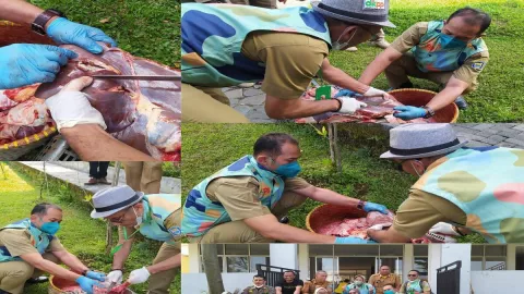 Ratusan Kg Jeroan Sapi dan Domba di Kota Bandung Dimusnahkan - GenPI.co JABAR