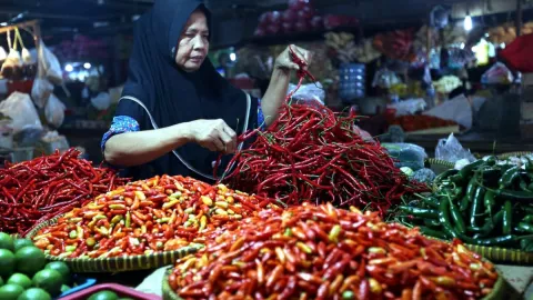 Harga Cabai Rawit Merah di Bogor Sama dengan Daging Sapi - GenPI.co JABAR
