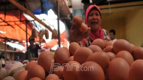 Harga Telur Ayam di Bogor Terus Naik, Jadi yang Tertinggi Sepanjang Sejarah - GenPI.co JABAR