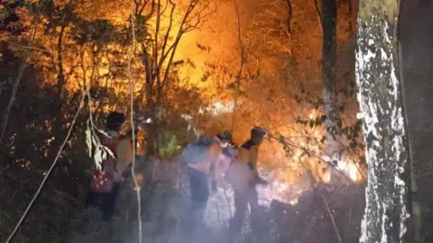 Kebakaran di Gunung Ciremai Hanguskan Ratusan Hektare Lahan - GenPI.co JABAR