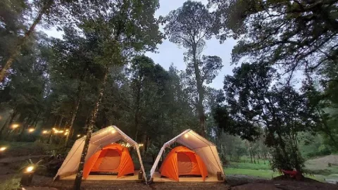 Hejo Forest, Rekomendasi Wisata di Bandung yang Wajib Kamu Kunjungi - GenPI.co JABAR