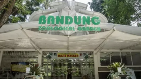 Rekomendasi Libur Lebaran: Harga Tiket, Wahana, Hingga Jam Buka Bandung Zoo - GenPI.co JABAR