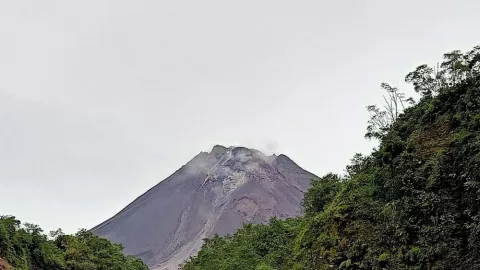 Awas! Aktivitas Gunung Merapi Masih Tinggi, Kubah Lava Tumbuh - GenPI.co JATENG