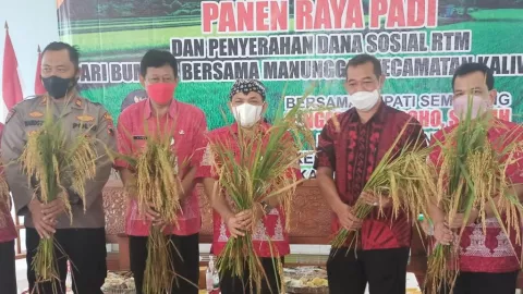 Panen di Kabupaten Semarang Surplus 81.920 Ton, Ini Rahasianya - GenPI.co JATENG