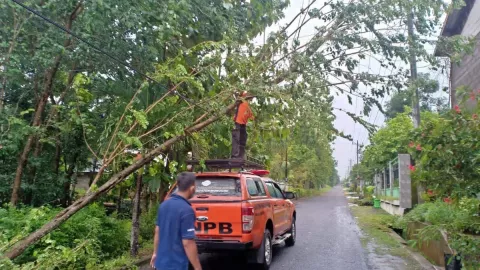 Angin Kencang di Wonogiri, Sejumlah Pohon Tumbang dan Rumah Rusak - GenPI.co JATENG