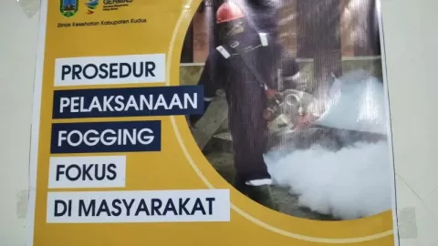 Gawat! Angka DBD di Kota Semarang Tembus 700 Kasus - GenPI.co JATENG