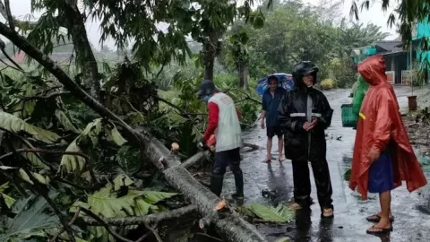 Tanggul Sungai Gamping Jebol, 30 Hektare Sawah di Cawas Terendam - GenPI.co JATENG