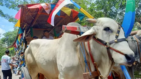 Desa Bengking Garap Agro Eduwisata, Belajar Bertani Sambil Piknik - GenPI.co JATENG