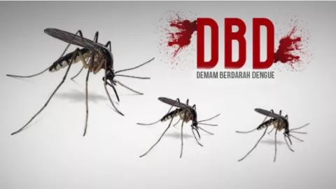 Begini Cara Mengenali Gejala Awal Demam Berdarah Dengue - GenPI.co JATENG