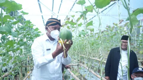 Tanam Melon, BI Ajak Ponpes Darul Abror Boyolali Mandiri Ekonomi - GenPI.co JATENG