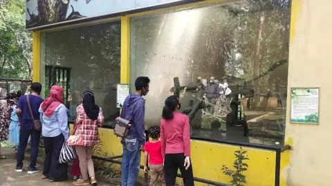 Jurug Solo Zoo Buka Sedekah Satwa - GenPI.co JATENG