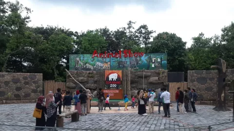 Asyik! Semarang Zoo Siapkan Animal Show Saat Libur Lebaran - GenPI.co JATENG